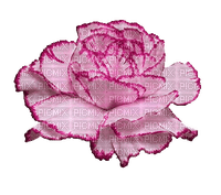 Róża różowa 7 - gratis png