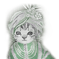chat cat - zdarma png