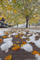 otoño frío - Безплатен анимиран GIF