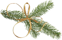 Fir with Ribbon - Free PNG