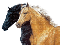 caballo - nemokama png