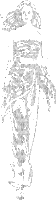 silhouette - Darmowy animowany GIF
