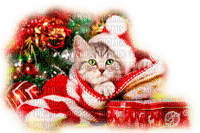 CHRISTMAS CAT - Free PNG