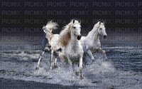 image encre paysage la nature les chevaux  effet edited by me - 免费PNG