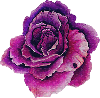 watercolor purple cabbage Bb2 - kostenlos png