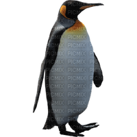 Kaz_Creations Penguin - png gratis