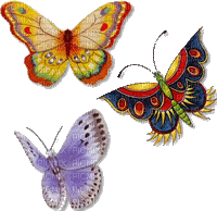 papillon - 免费动画 GIF
