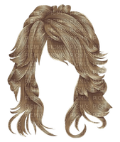 cheveux - bezmaksas png