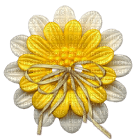 Fleur Jaune Blanc:) - PNG gratuit