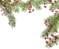 Christmas.Branch.Noël.Frame.Victoriabea - PNG gratuit