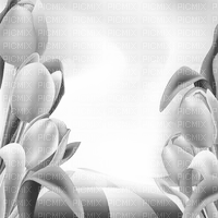 Y.A.M._Spring Summer background   black-white - darmowe png
