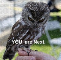 you are next - Free PNG