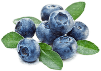 blueberries Bb2 - png gratis
