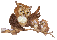 Kaz_Creations Owls Owl Birds Bird - Free animated GIF