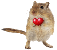 Mouse with Heart - GIF animado grátis