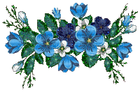 nbl-flowers - Nemokamas animacinis gif