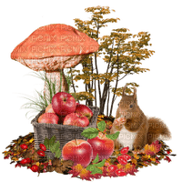 Autumn. Squirrel. Apples. Leila - gratis png