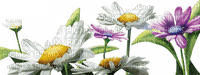 Kaz_Creations Deco Flowers Garden - png ฟรี