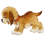MMarcia gif cãozinho chien dog mignon - GIF animate gratis