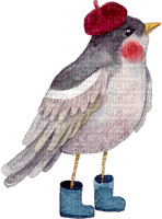 aquarelle bird - 免费PNG