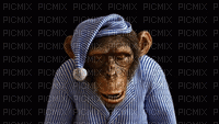 Małpa Ziewająca - Ilmainen animoitu GIF