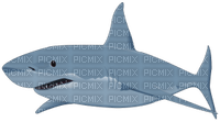 Kaz_Creations Shark - Free PNG
