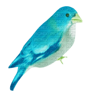 Bird - ücretsiz png