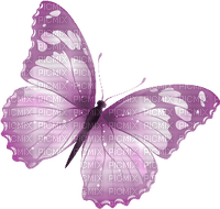 Schmetterling - ingyenes png