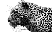 Kaz_Creations Cheetah - Free PNG