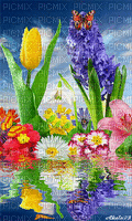 spring flowers - GIF animé gratuit