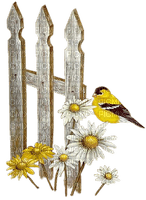 Kaz_Creations Birds Bird Gate Fence Garden - бесплатно png