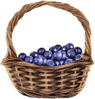 Blueberries - Bogusia - PNG gratuit
