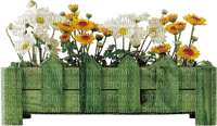 charmille _ fleurs - png gratis
