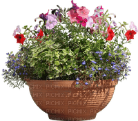 Bloemen en planten - ücretsiz png
