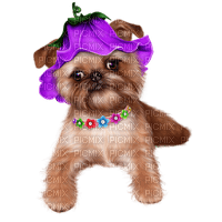 Kaz_Creations Dogs Dog Pup 🐶 - бесплатно png