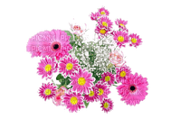 fleurs - png gratuito
