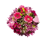 kukka flower fleur - kostenlos png
