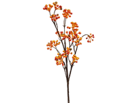 Planta de otoño - besplatni png