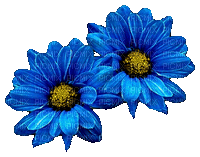 Blumen-Flowers-fleurs - Ingyenes animált GIF