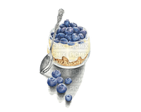 Blueberry Dessert - gratis png