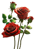 Rosas rojas - darmowe png