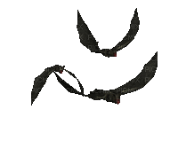 bird - Besplatni animirani GIF