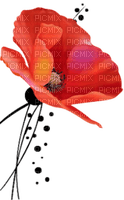 poppy flowers bp - kostenlos png