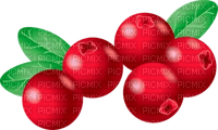 cranberries Bb2 - png gratis