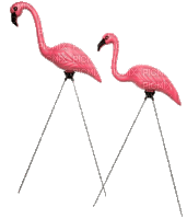 Kaz_Creations Flamingos - Animovaný GIF zadarmo