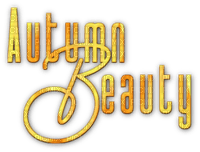 soave text autumn beauty yellow orange - δωρεάν png