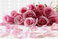 ruže - png gratis