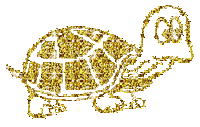 Schildkröte - Free animated GIF