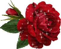 Rose - GIF animado gratis