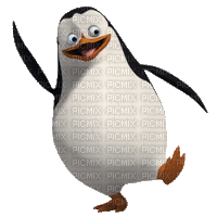 Pinguin - Gratis animerad GIF